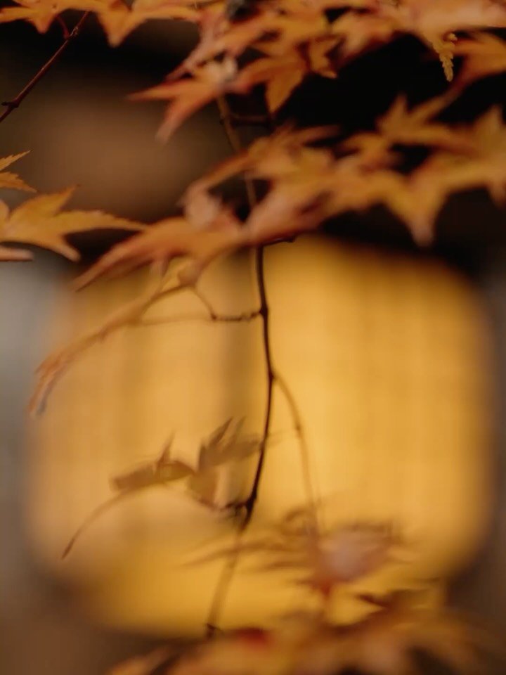 Spring officially kicked off for us all last Friday. And today starts one of our largest multi-day weddings of the entire year.  HERE WE GO!!! We&rsquo;re still sharing  last season&rsquo;s stories between spring celebrations. There&rsquo;s so much w