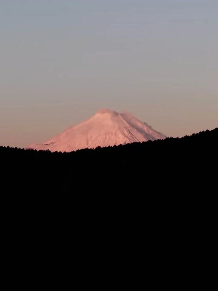 If Studio Ghibli planned a wedding, it would look something like this.

Jinya ryokan in autumn. Leaves so saturated they don&rsquo;t look real. A Canadian couple who built their celebration around the things they actually love. Not trends. Not Pinter
