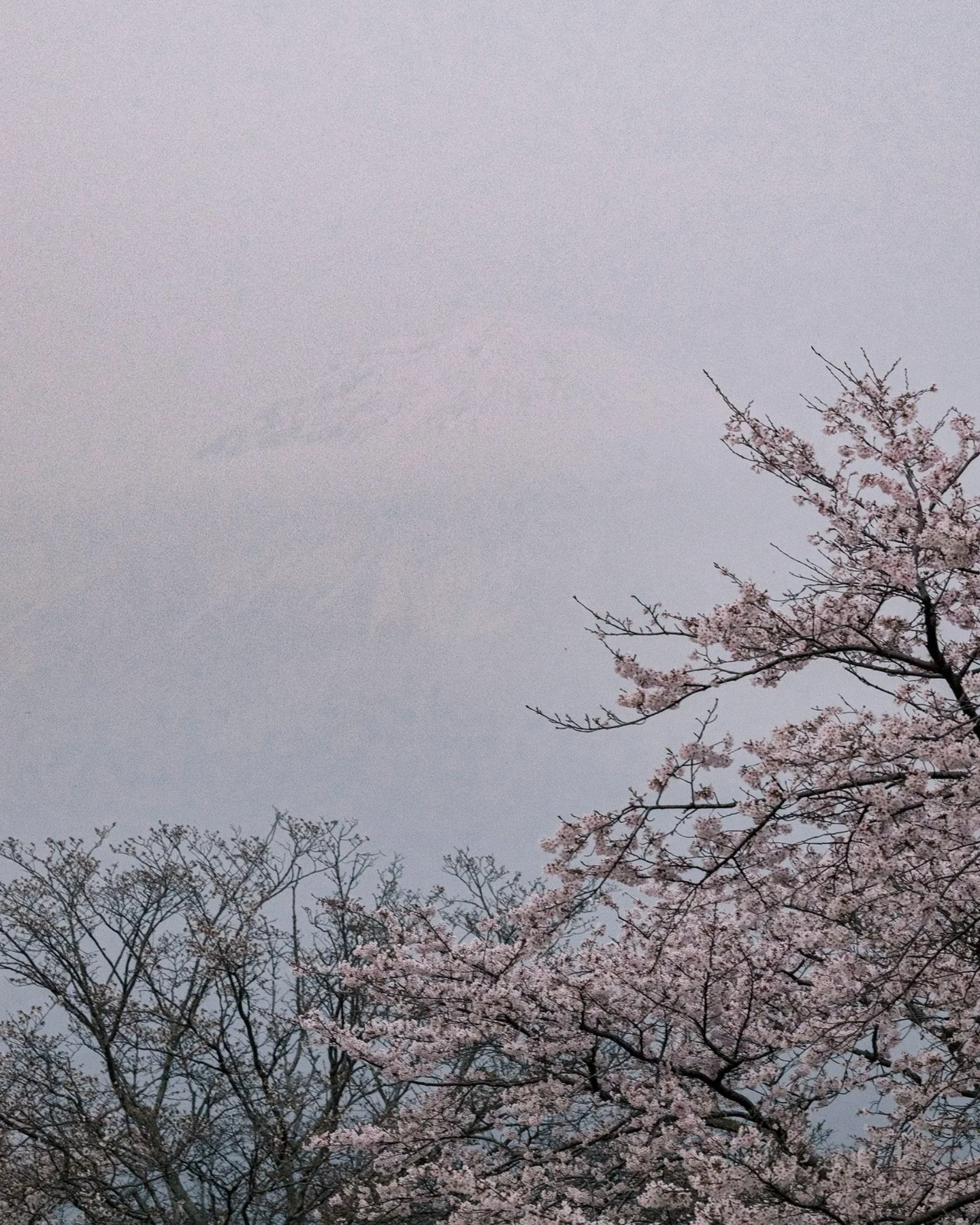 When they first wrote to us, we&rsquo;d already closed spring. Every date was gone. Tracey and I went back and forth about it for days, because everything in the enquiry felt right, but our team was already stretched across a season that was going to