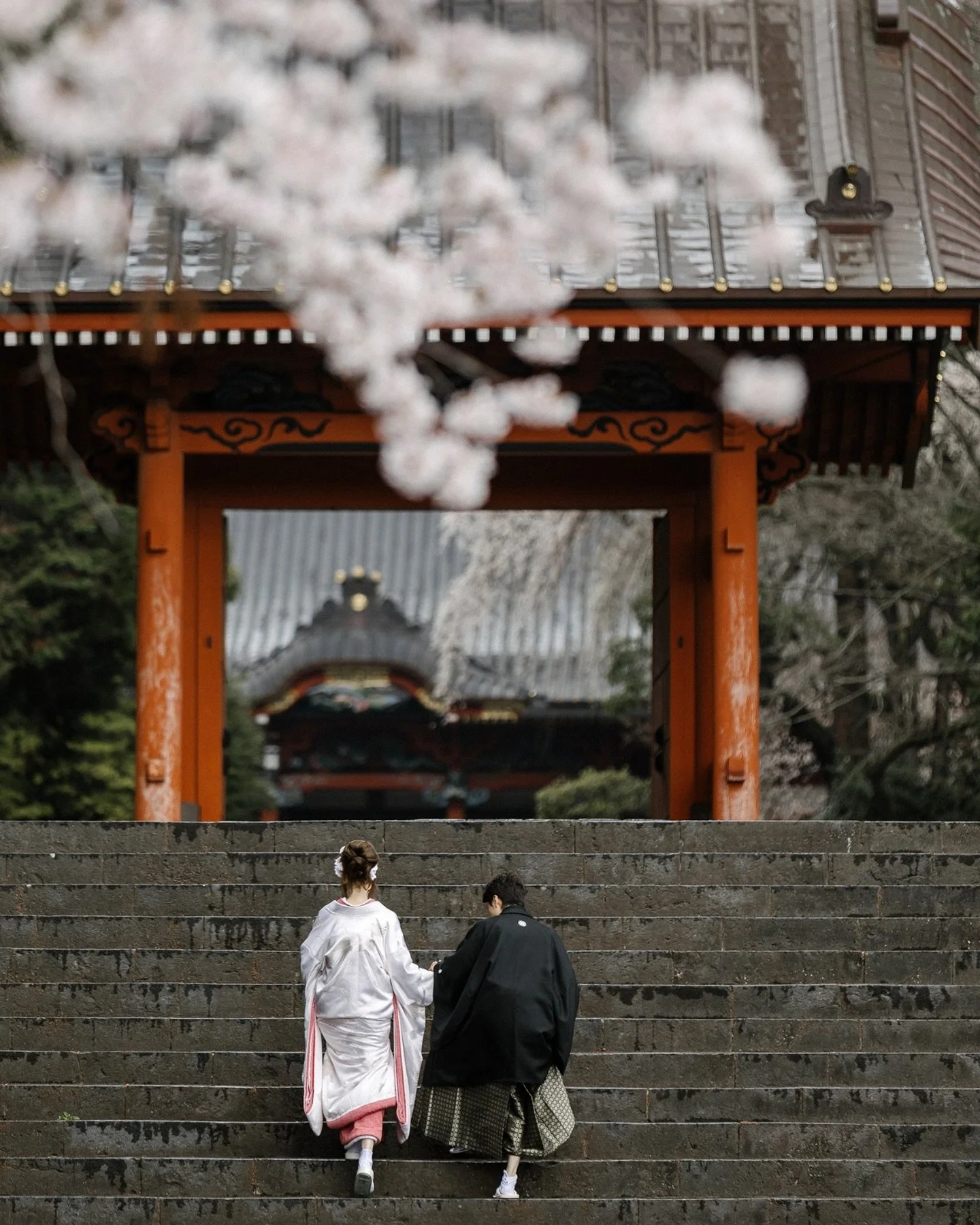 Mt Fuji wasn&rsquo;t visible for most of this wedding. I want to sit with that for a moment, because it&rsquo;s the part of the day I keep thinking about.

She presides over Taisekiji. On a clear day, she&rsquo;s the thing your eye goes to first and 