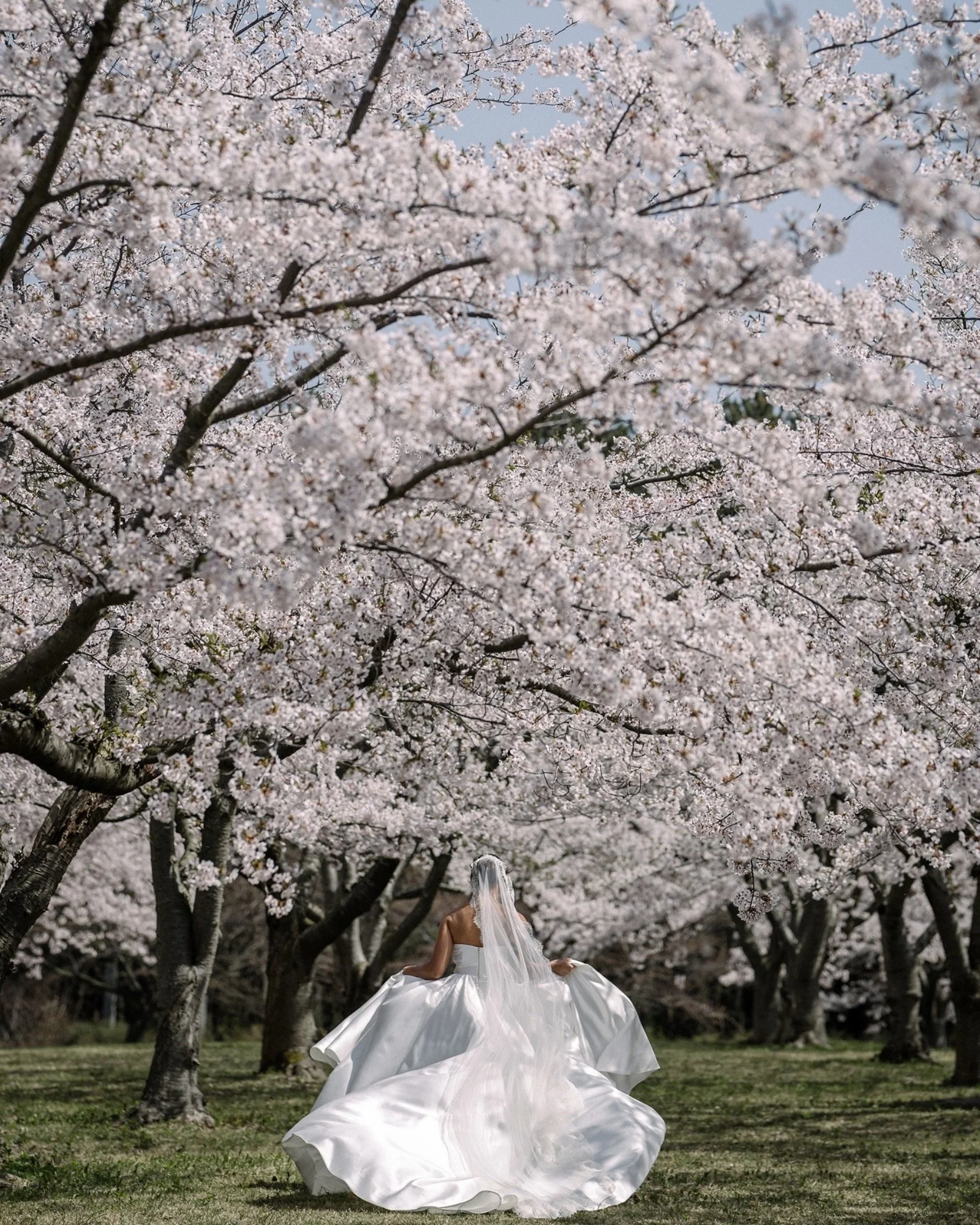 Dakota and Meagan reached out with a video introduction. Personal, thoughtful, properly considered. Not just an availability check. A real hello. We were already fully booked for our spring season. But there was a very small window in late April. And