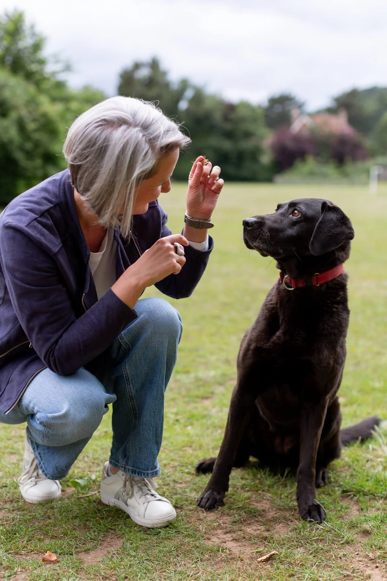 Jo Lofthouse, psychotherapist and EMDR practitioner, with her adorable Labrador