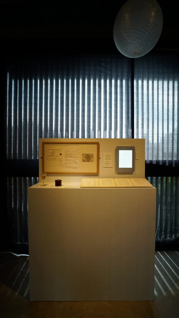 Image 1: Viola Odorata installation- Forum Kyoto Gallery