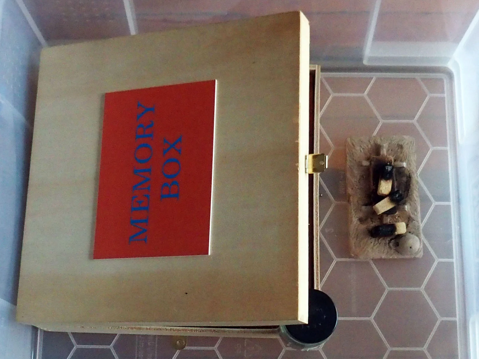 8-Memory-Box-Smoking-the-box-with-pinon-incense.jpg