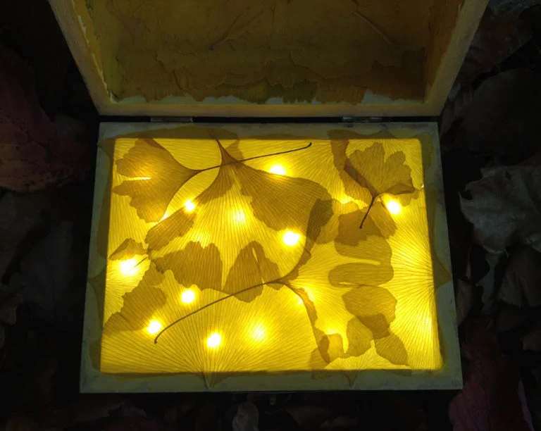 ATginko_1056x841-768x612.jpg