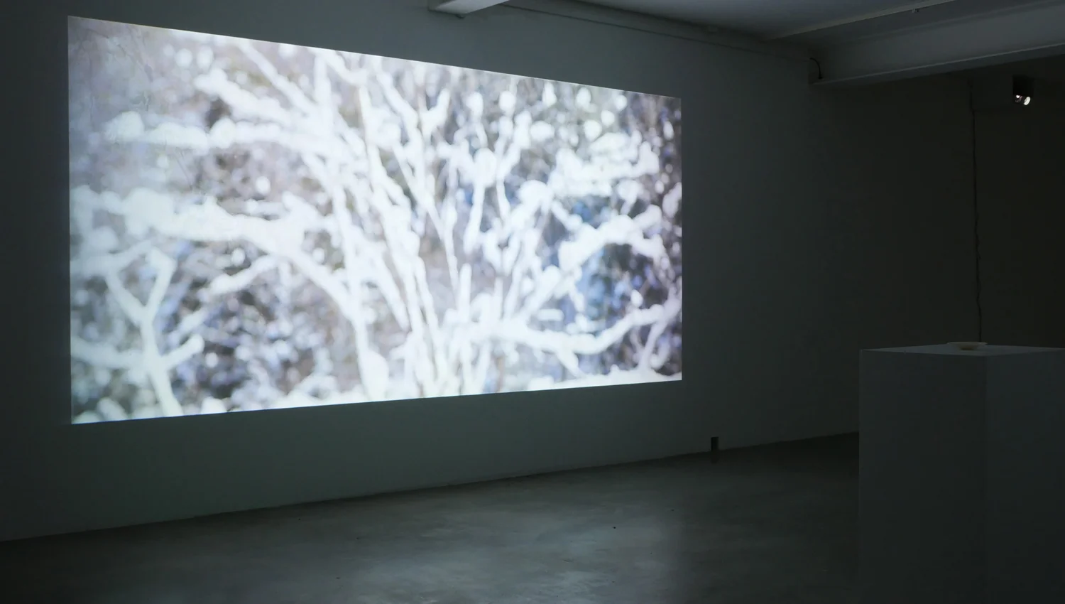 Image 2 SEIREI Yasuaki Matsumoto