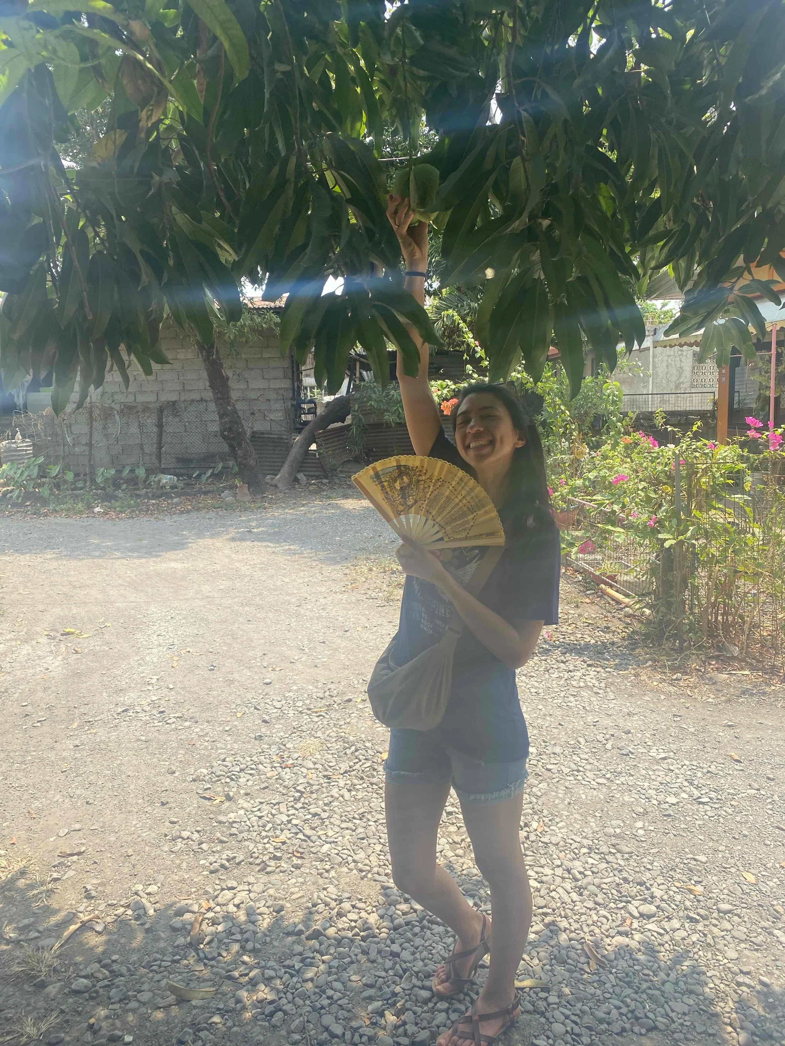 Lessons from Ancestral Land 🥭