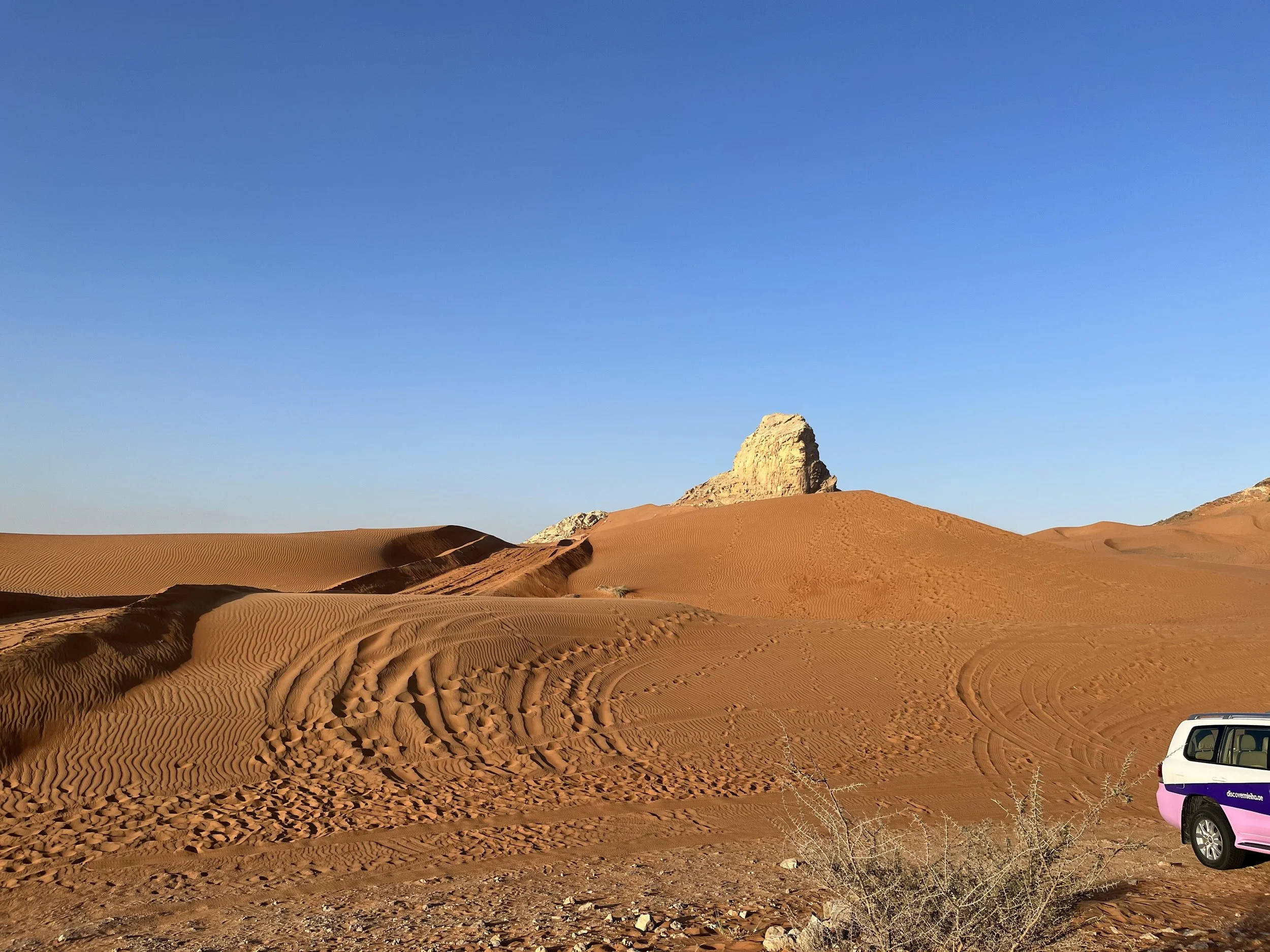 uae term and starting over, again