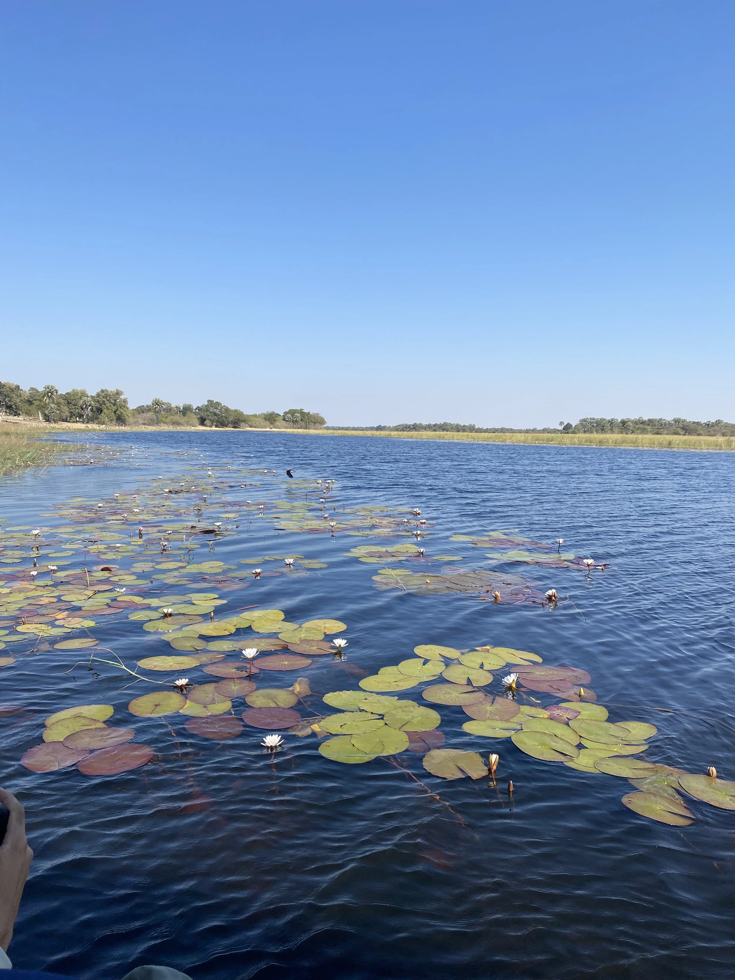 gocamp, maun and second chances