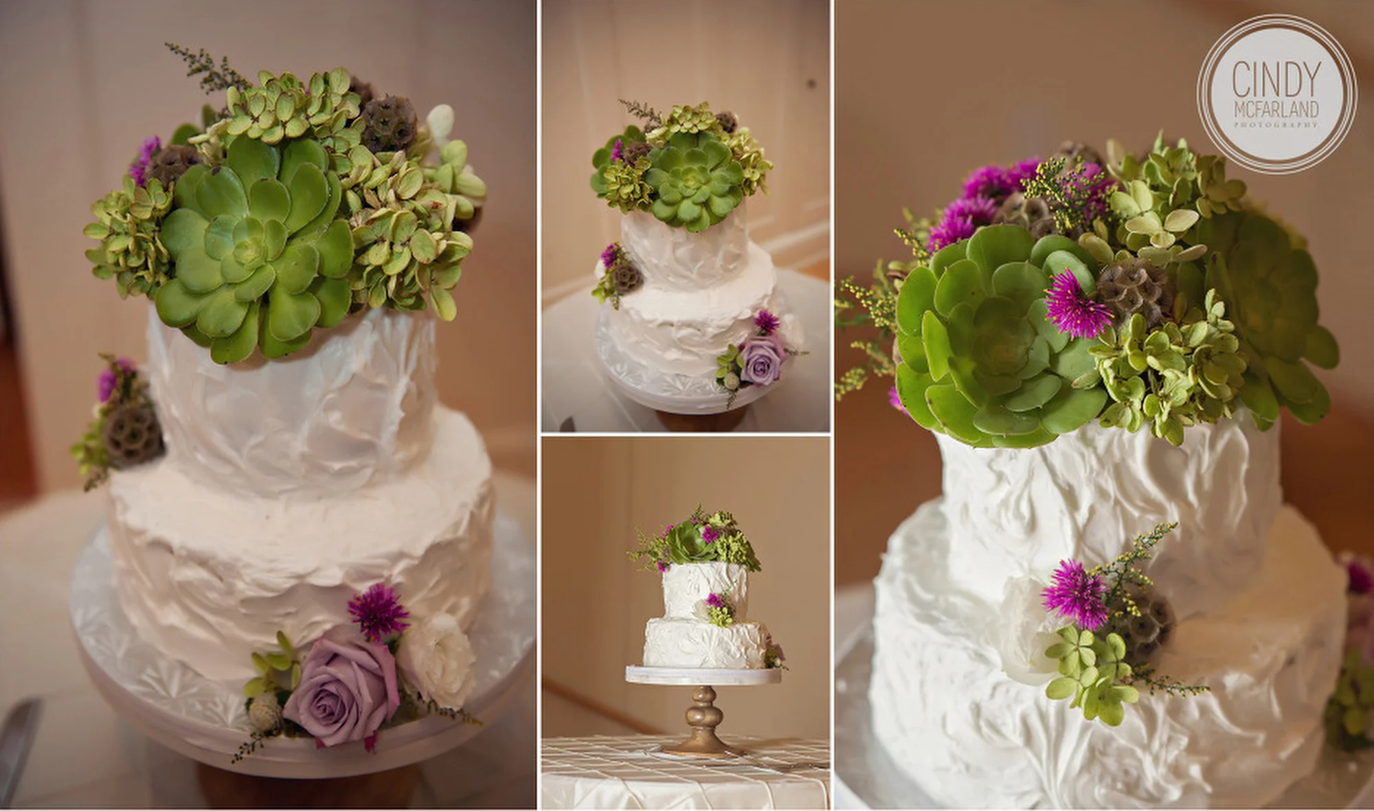 Screen Shot 2019-04-26 at 1.01.39 PM.JPG