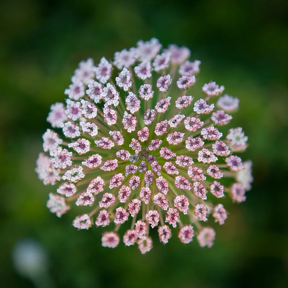 Hey guys. We&rsquo;re just 4 days out from our first Gathering Men Melbourne Metro Circle of the year. It&rsquo;s happening this Saturday, 5 April 6-9pm at the Venny in Kensington. 

These events, with the support of the City of Melbourne, are create