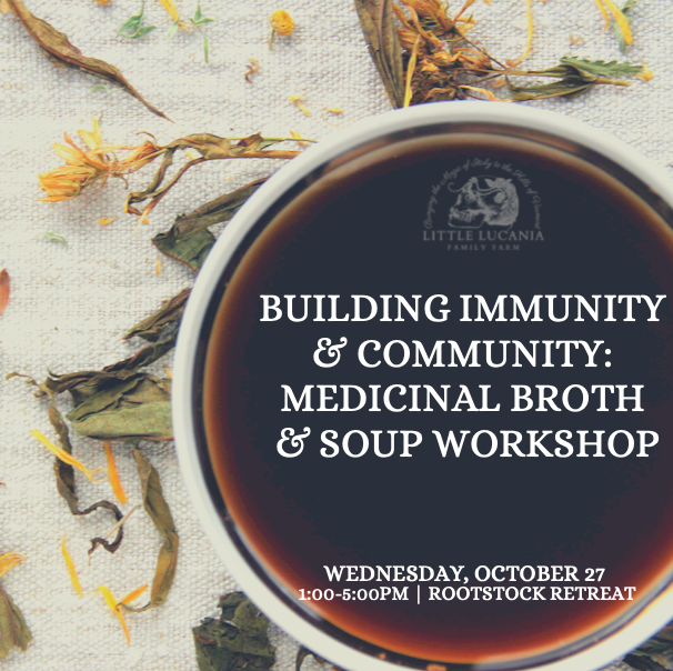 Building Immunity & Community:  Medicinal Soup Making Workshop