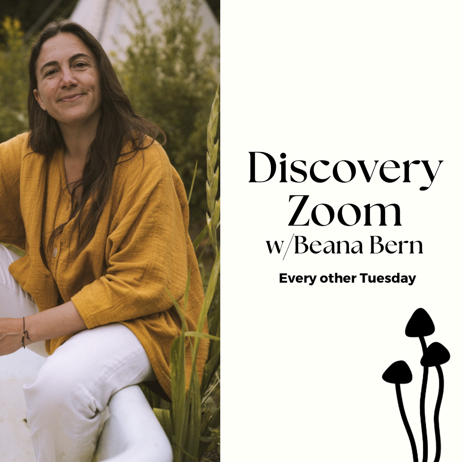 Discovery Call (Online)