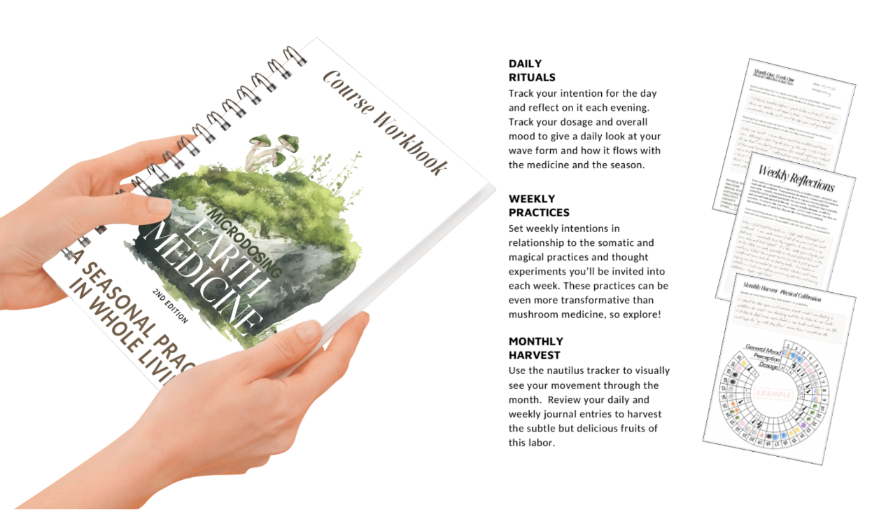 Microdosing Course Spiral Bound Workbook