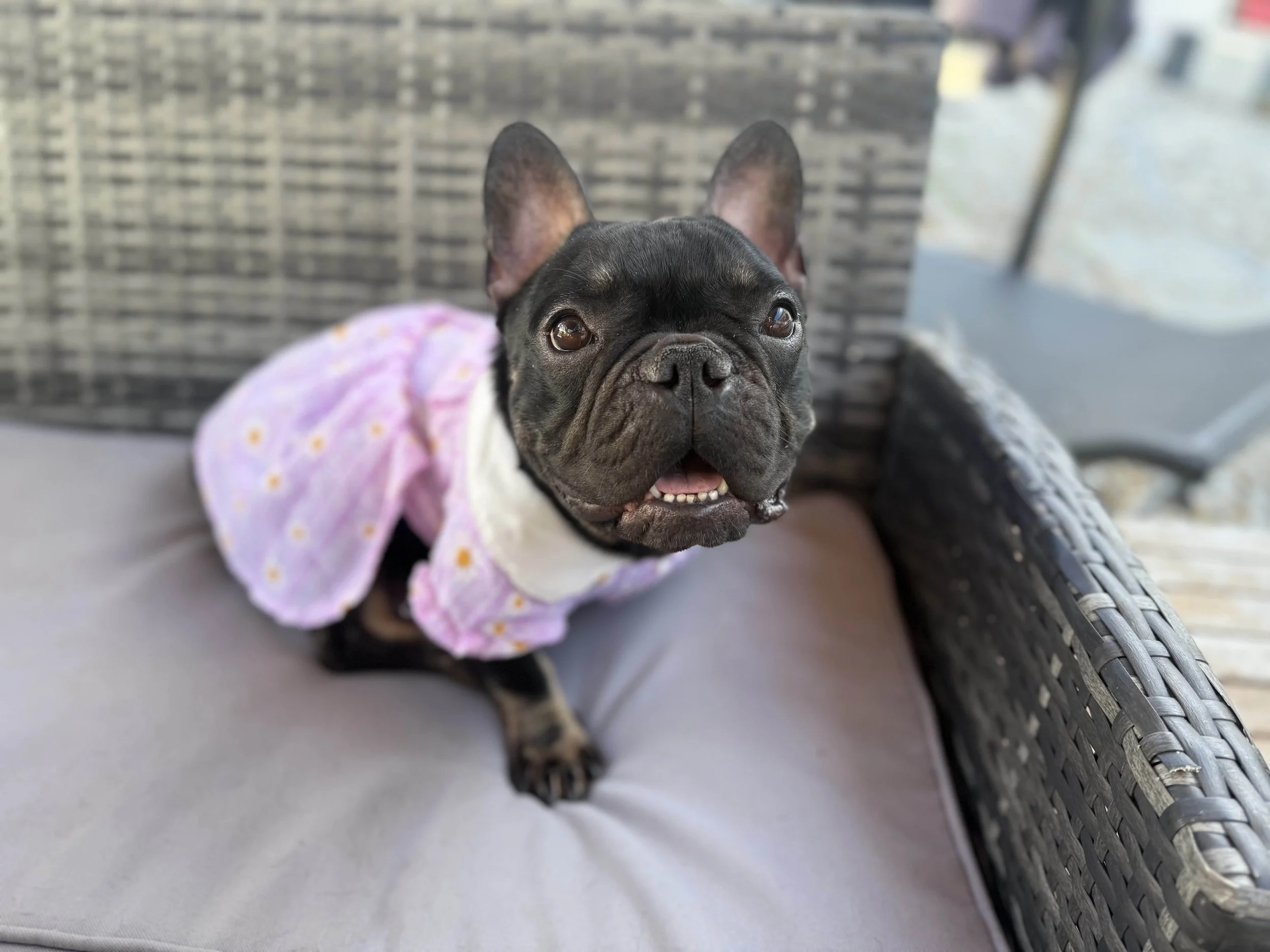 Meet "Madeline"