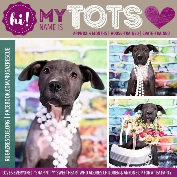  Meet "Tots"