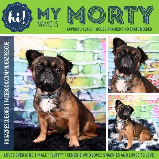  Meet "Morty
