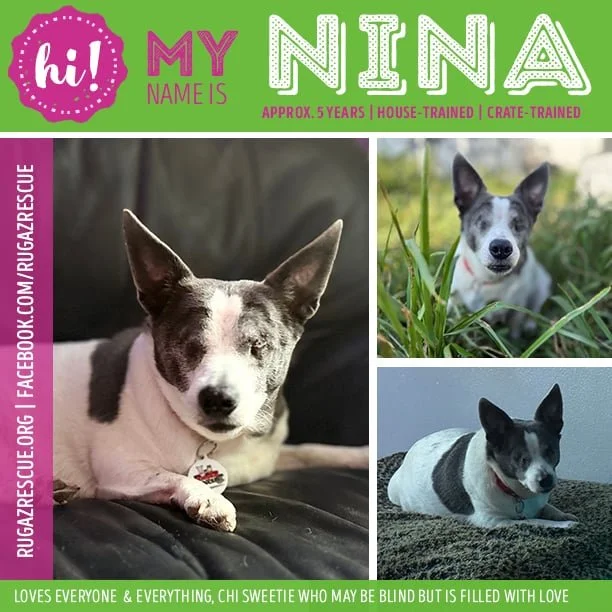  Meet "Nina"