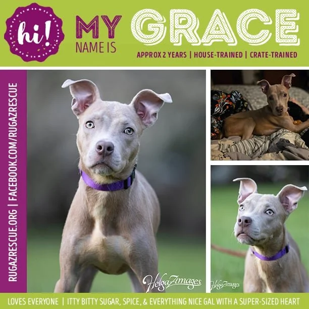  Meet "Grace"