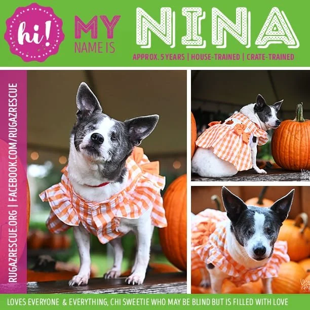  Meet "Nina"
