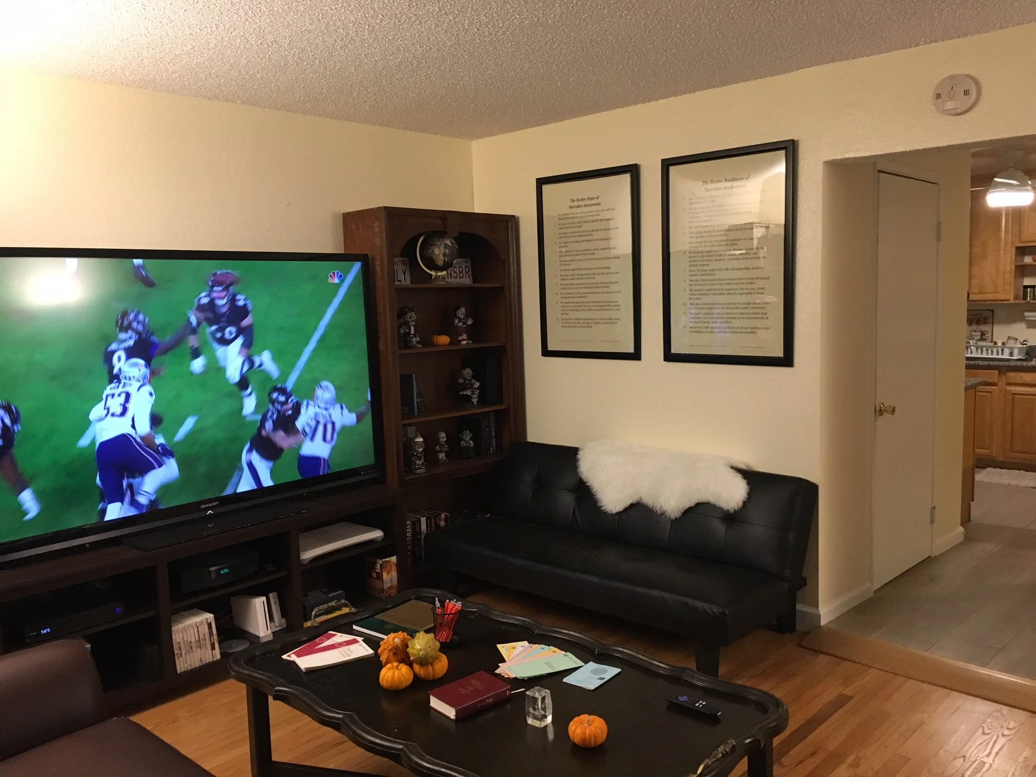 2 pic living room 12 steps.jpg