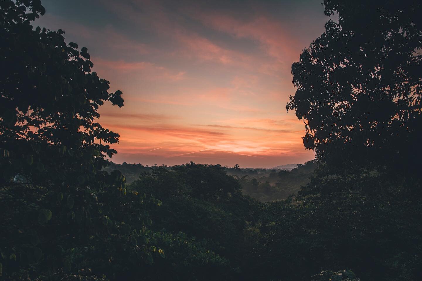 #Mexico - in the middle of the #jungle between the #coffeefields - on behalf for Emmi Caff&eacute; Latte 

#Contenproduction #campaign #job #advertisingphotography #commercialphotographer #freelancer #campaign #lovemyjob #Contenproduction #magicplace