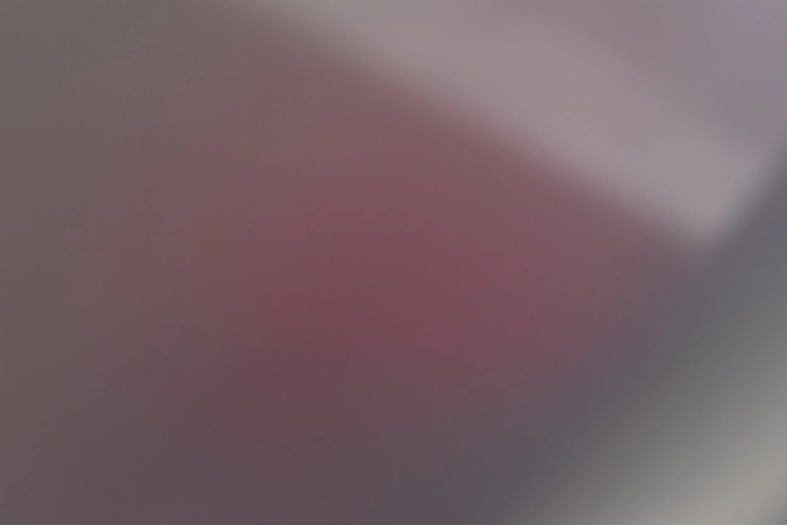 DSC_0093.jpeg