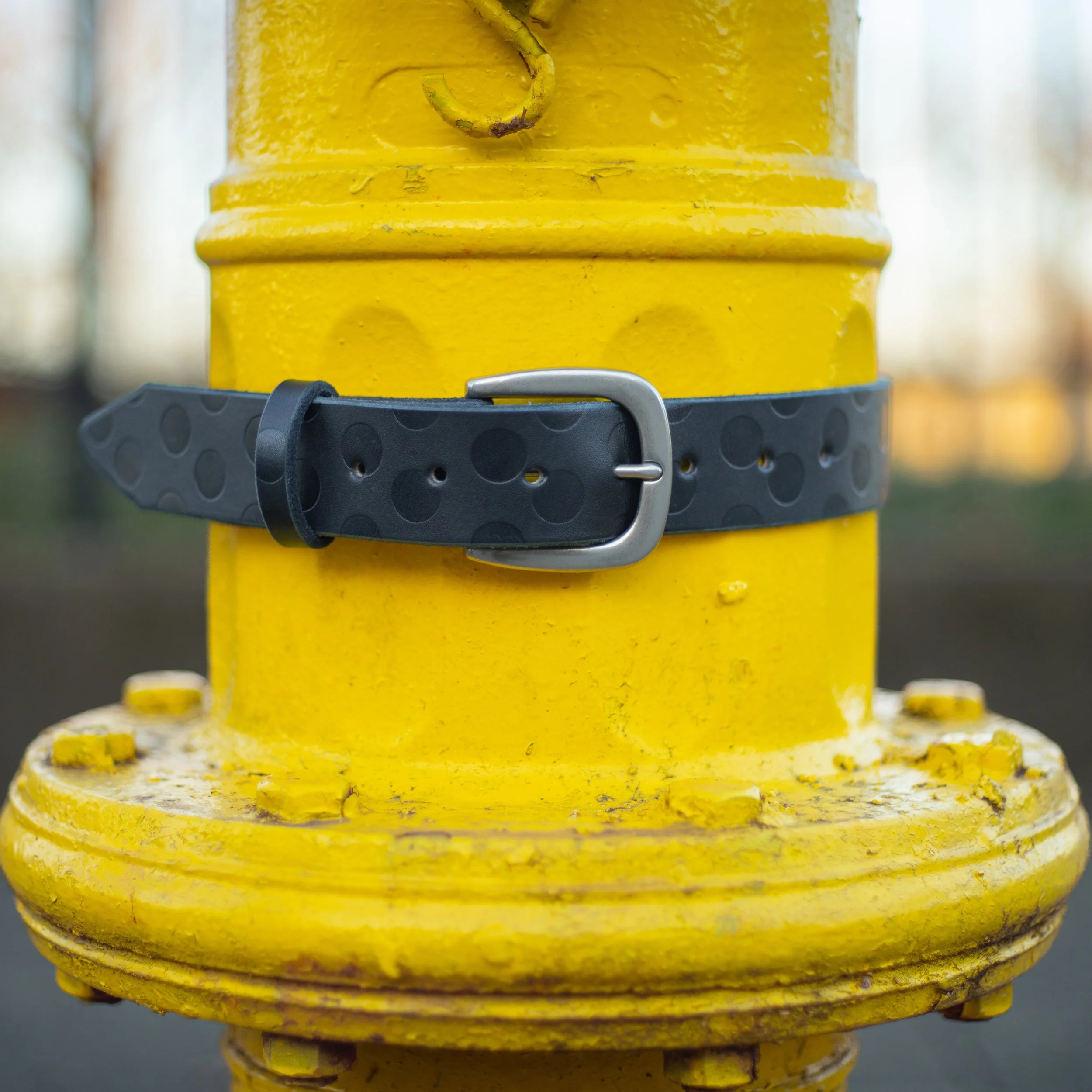 Embossed Polka Belt 5.jpg