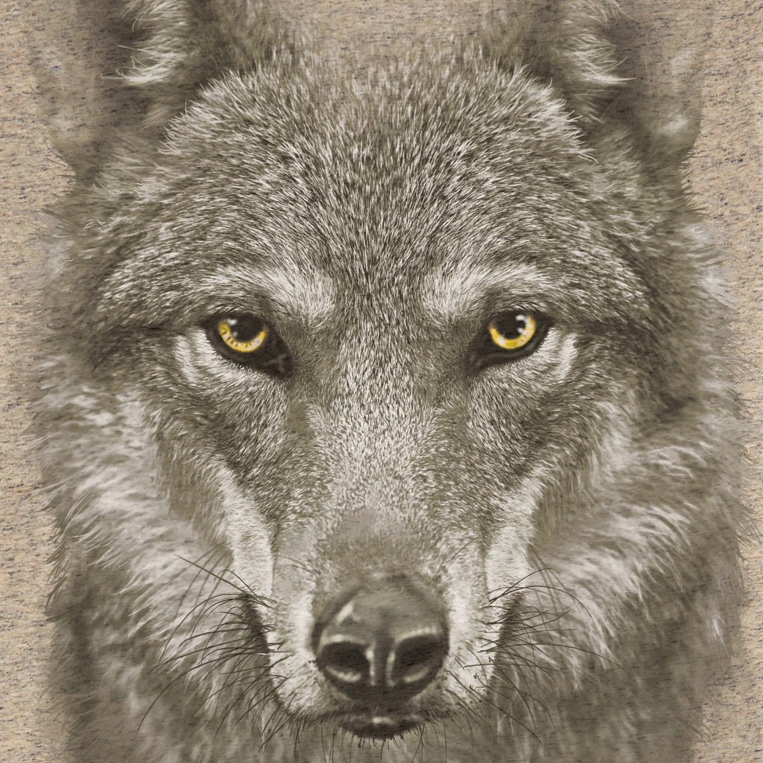 TM4003---Wolf.jpg