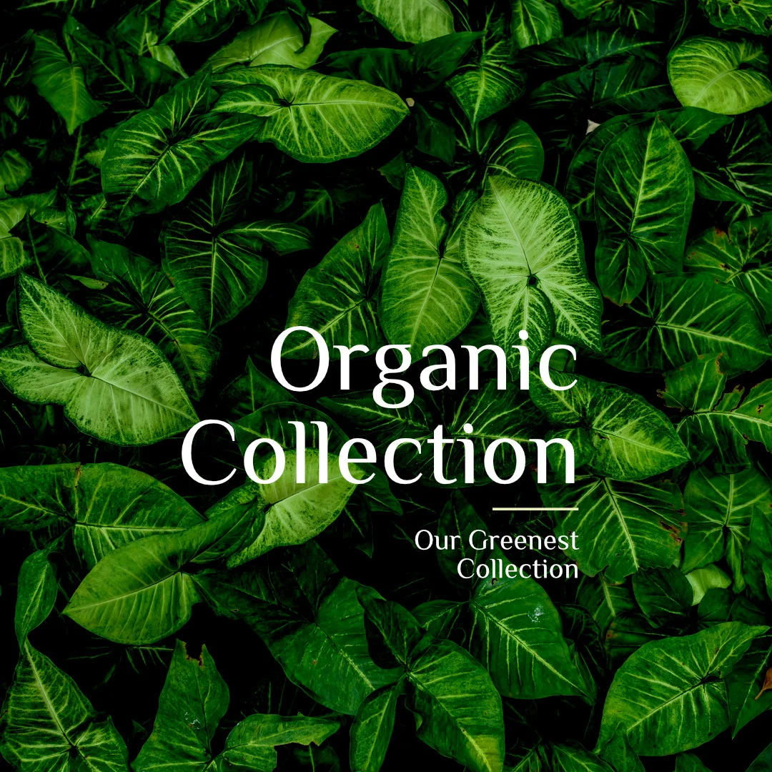greenest-collection2.jpg