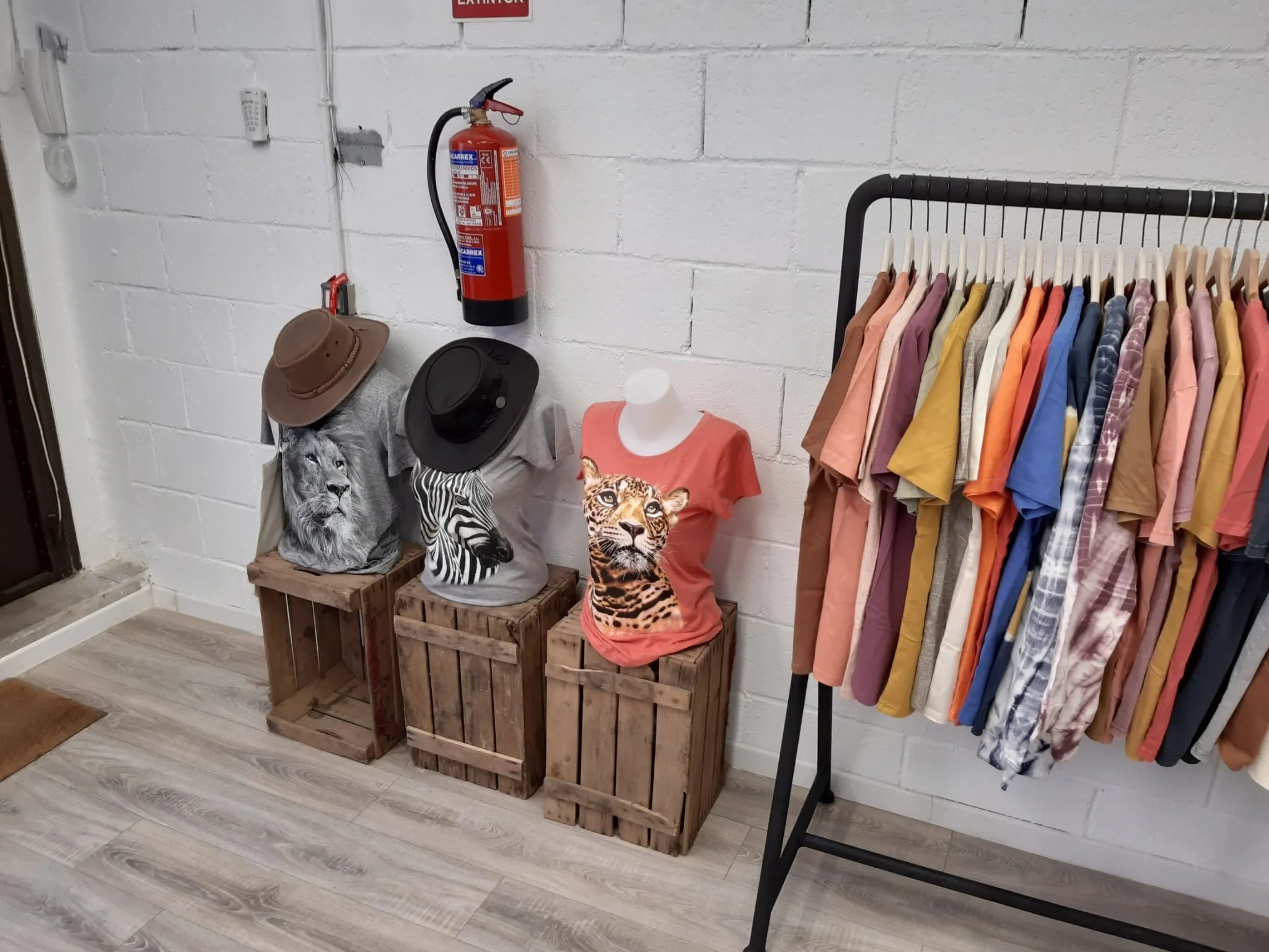showroom-05.JPG