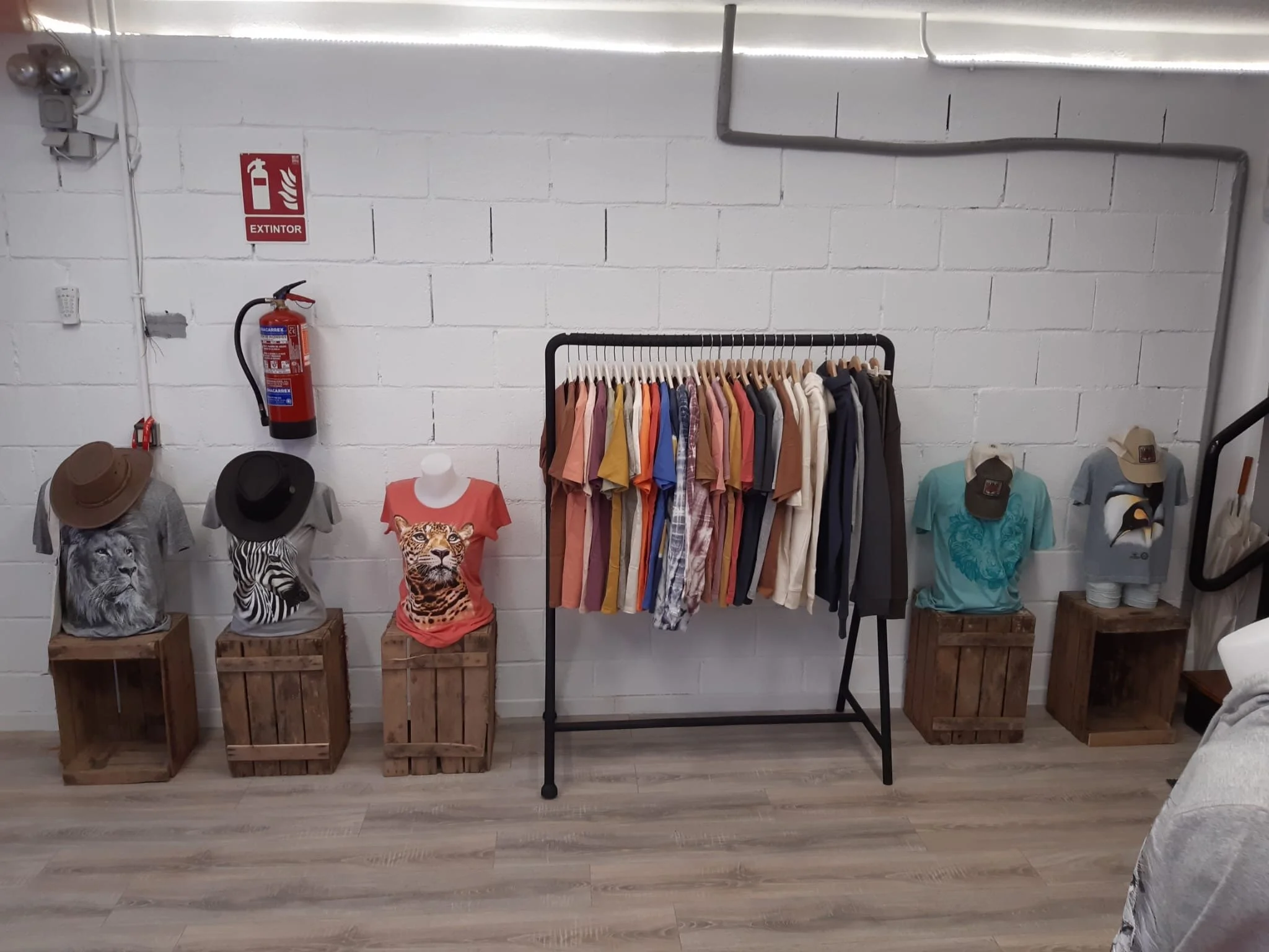 showroom-09.JPG