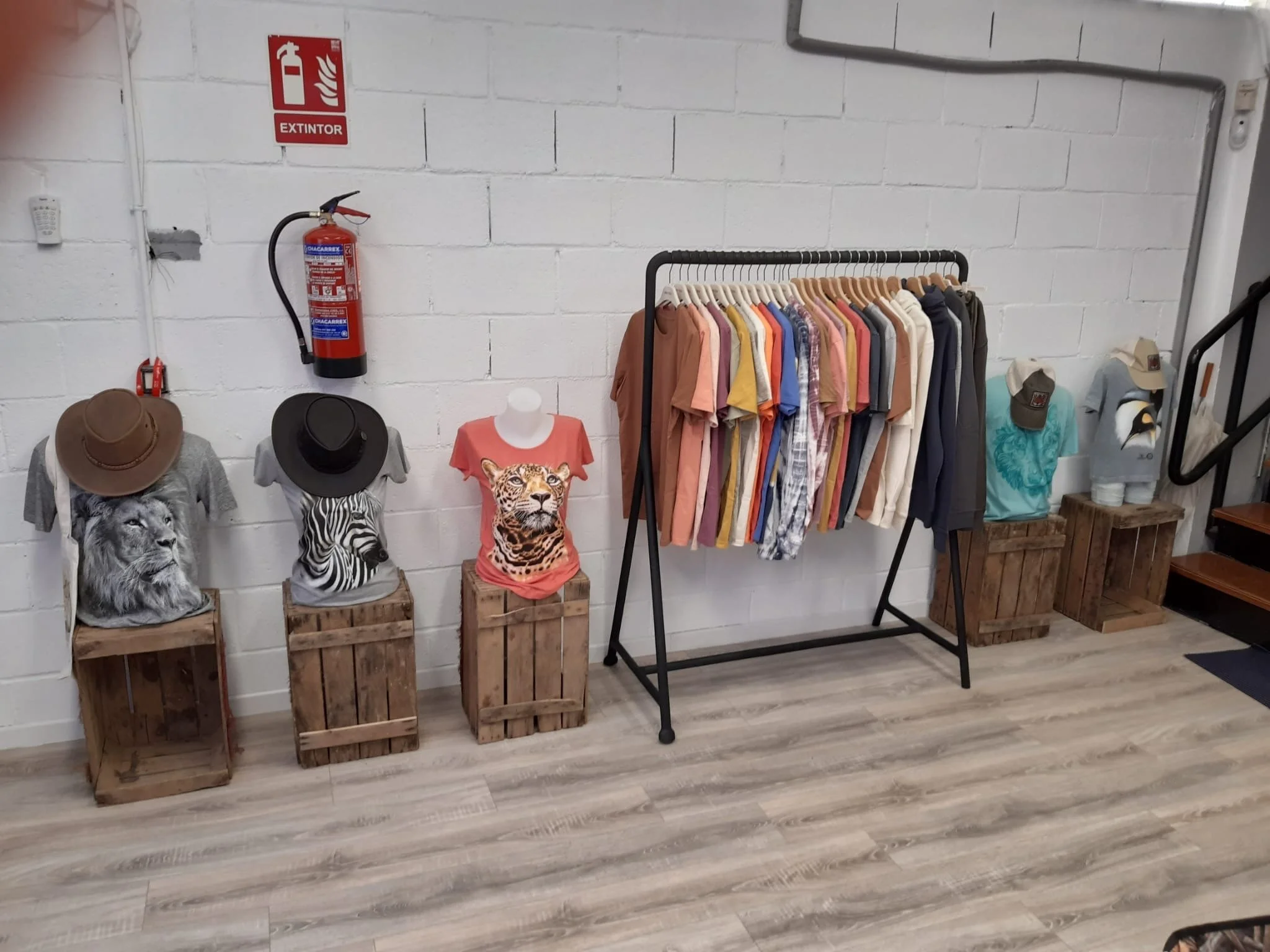 showroom-10.JPG