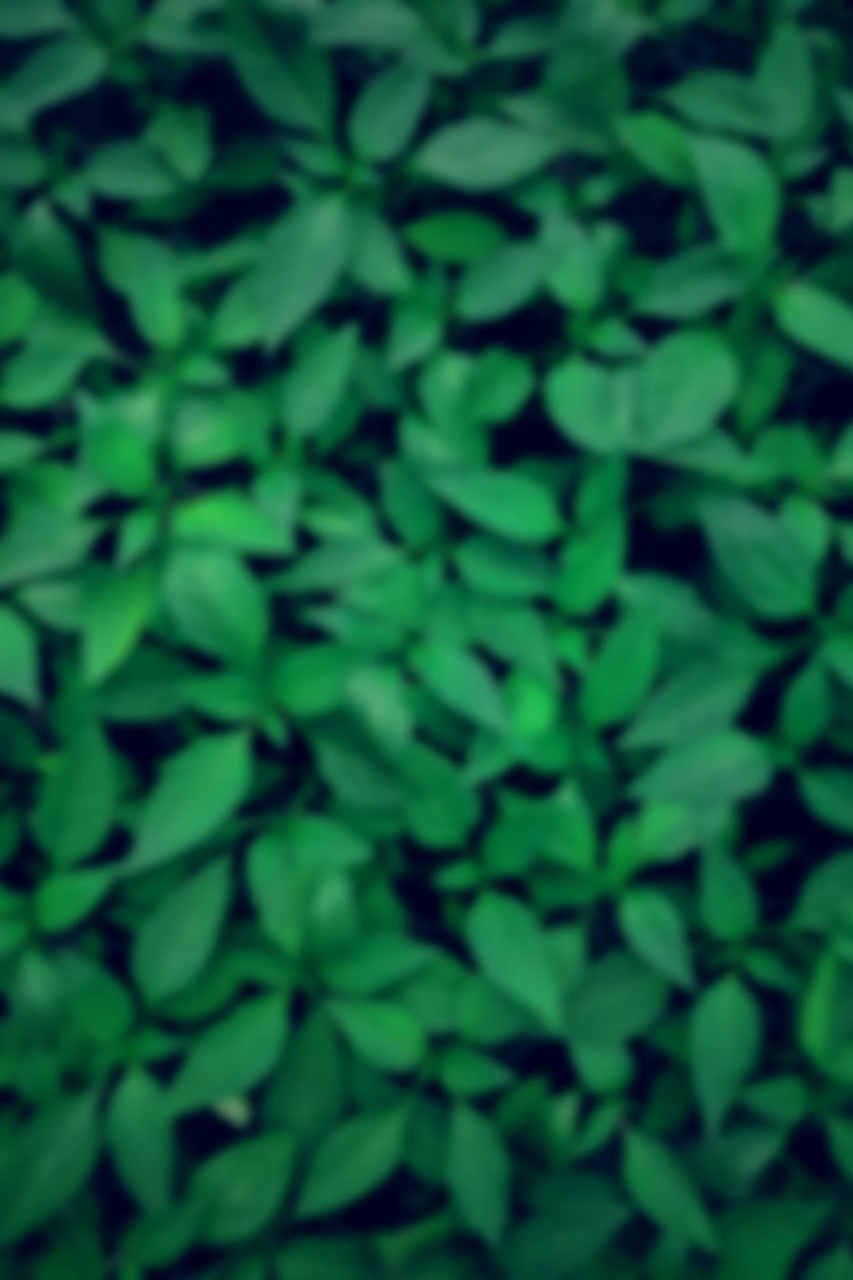 unsplash-image-frWOcVisp8U.jpg