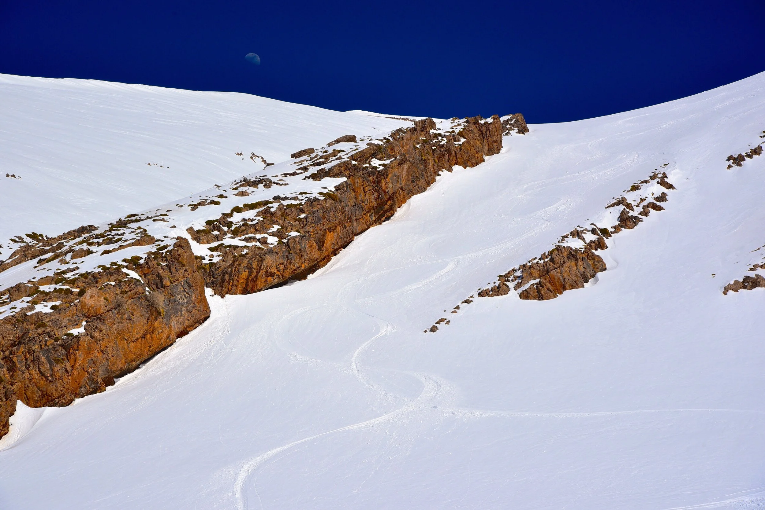 DSC_8340.jpg