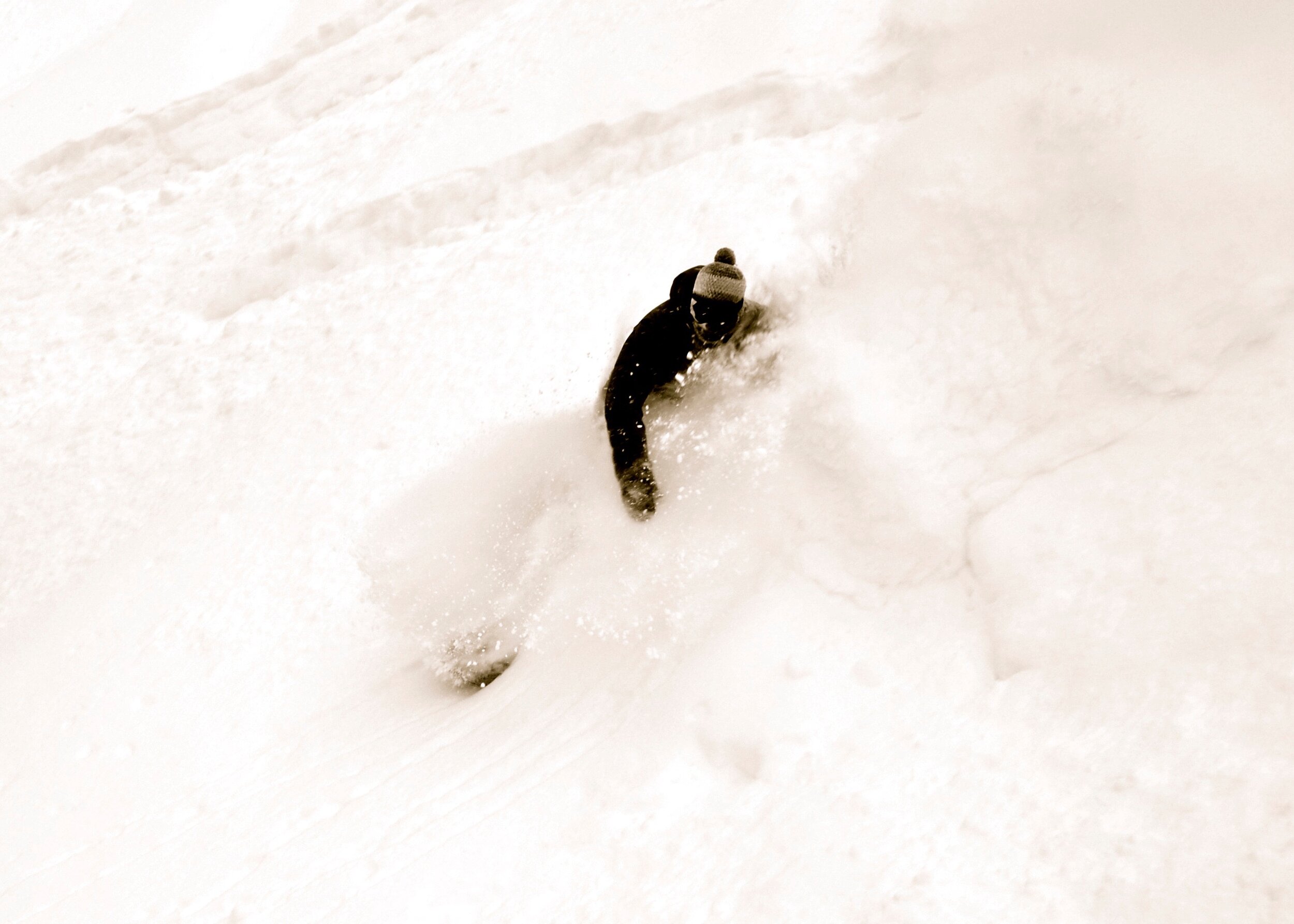 DSC_0561.jpg