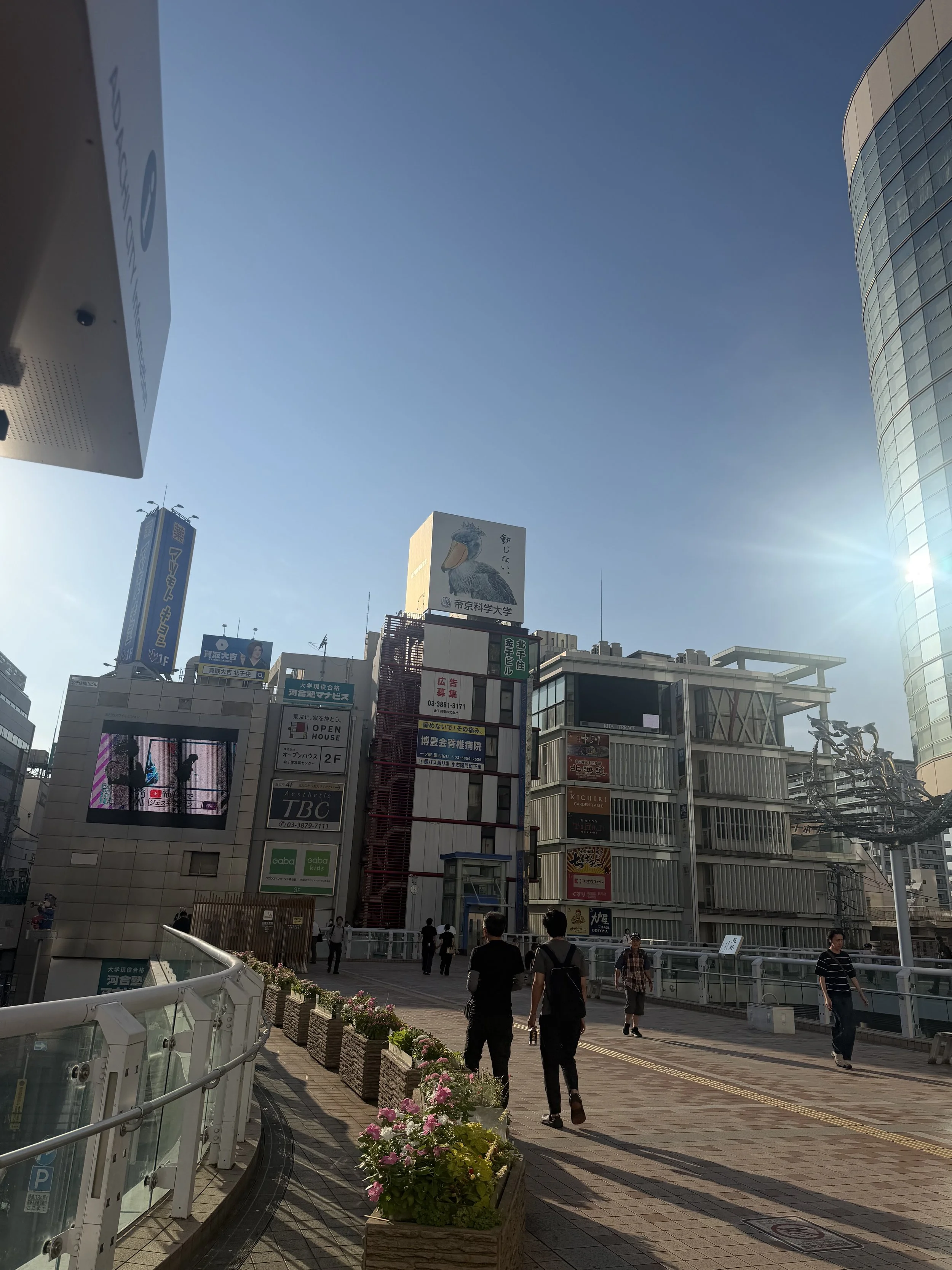 IMG_8130.jpeg