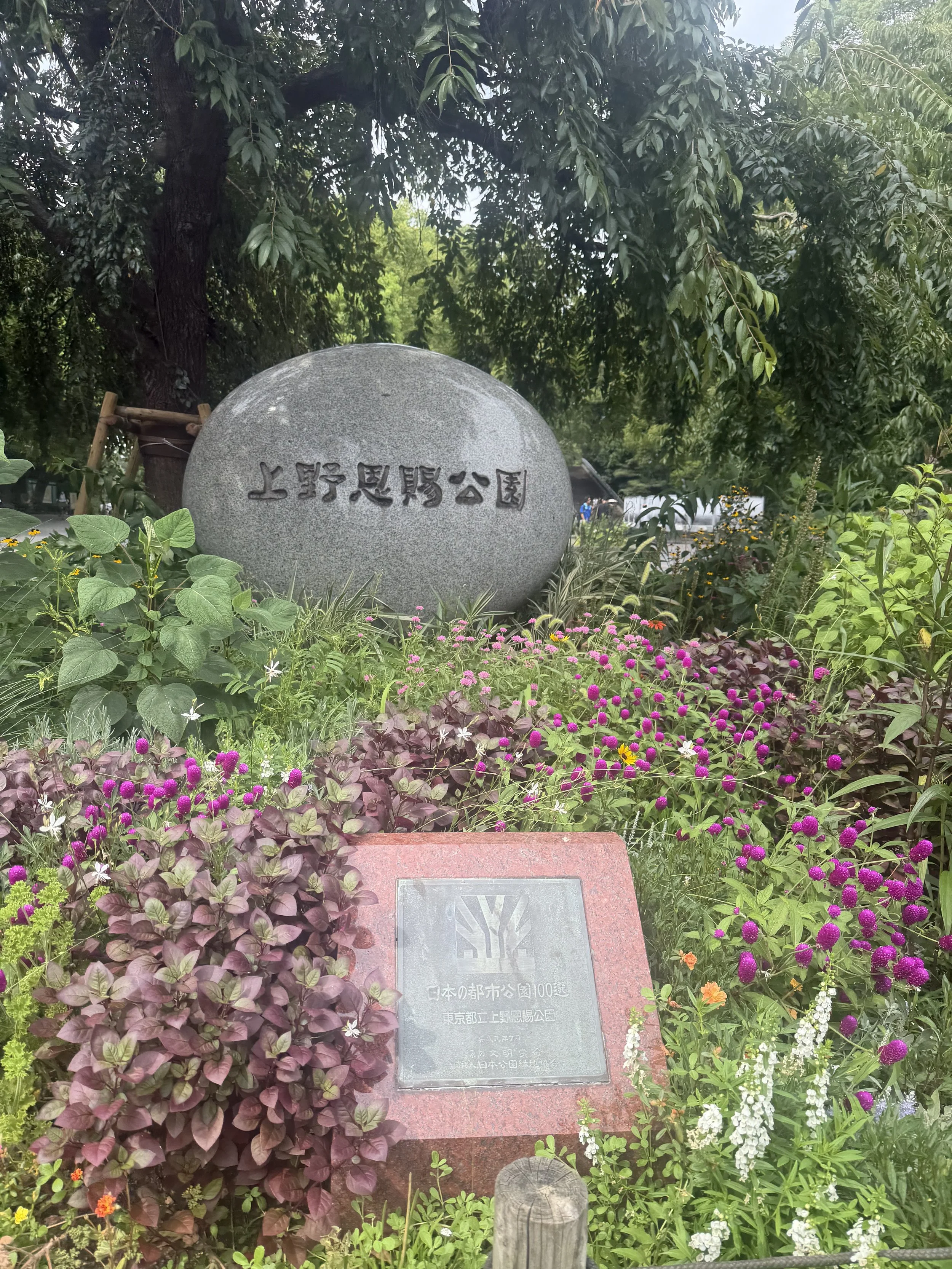 IMG_8039.jpeg