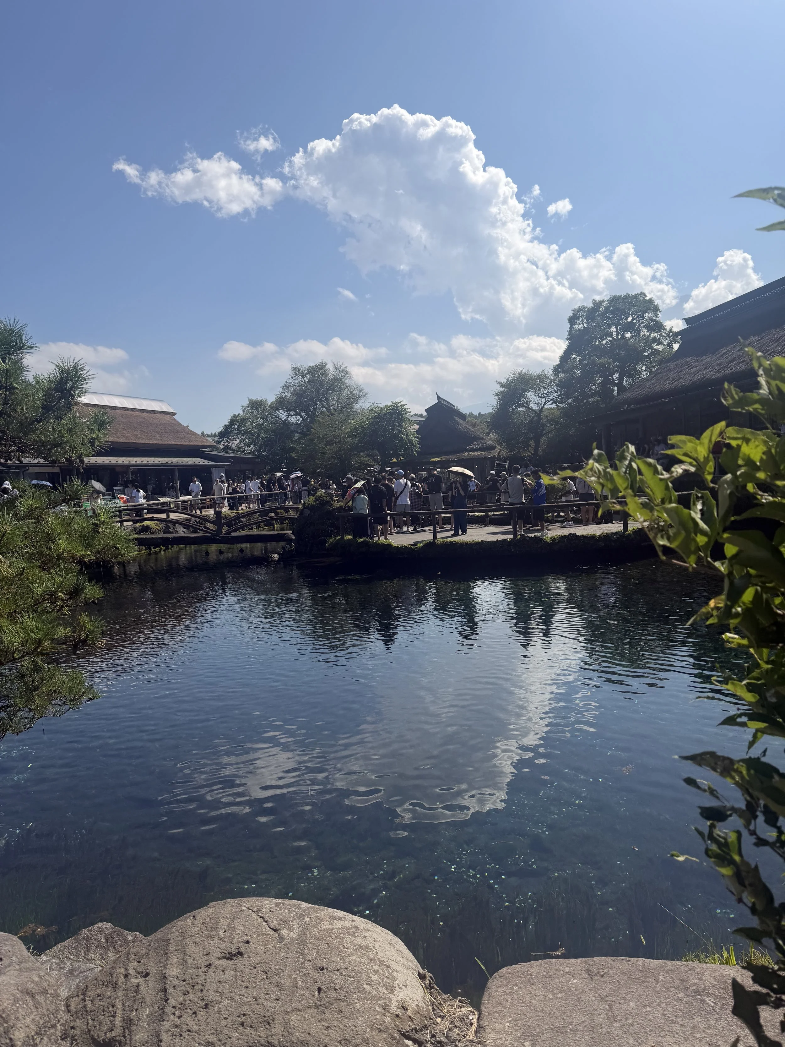 IMG_7822.jpeg