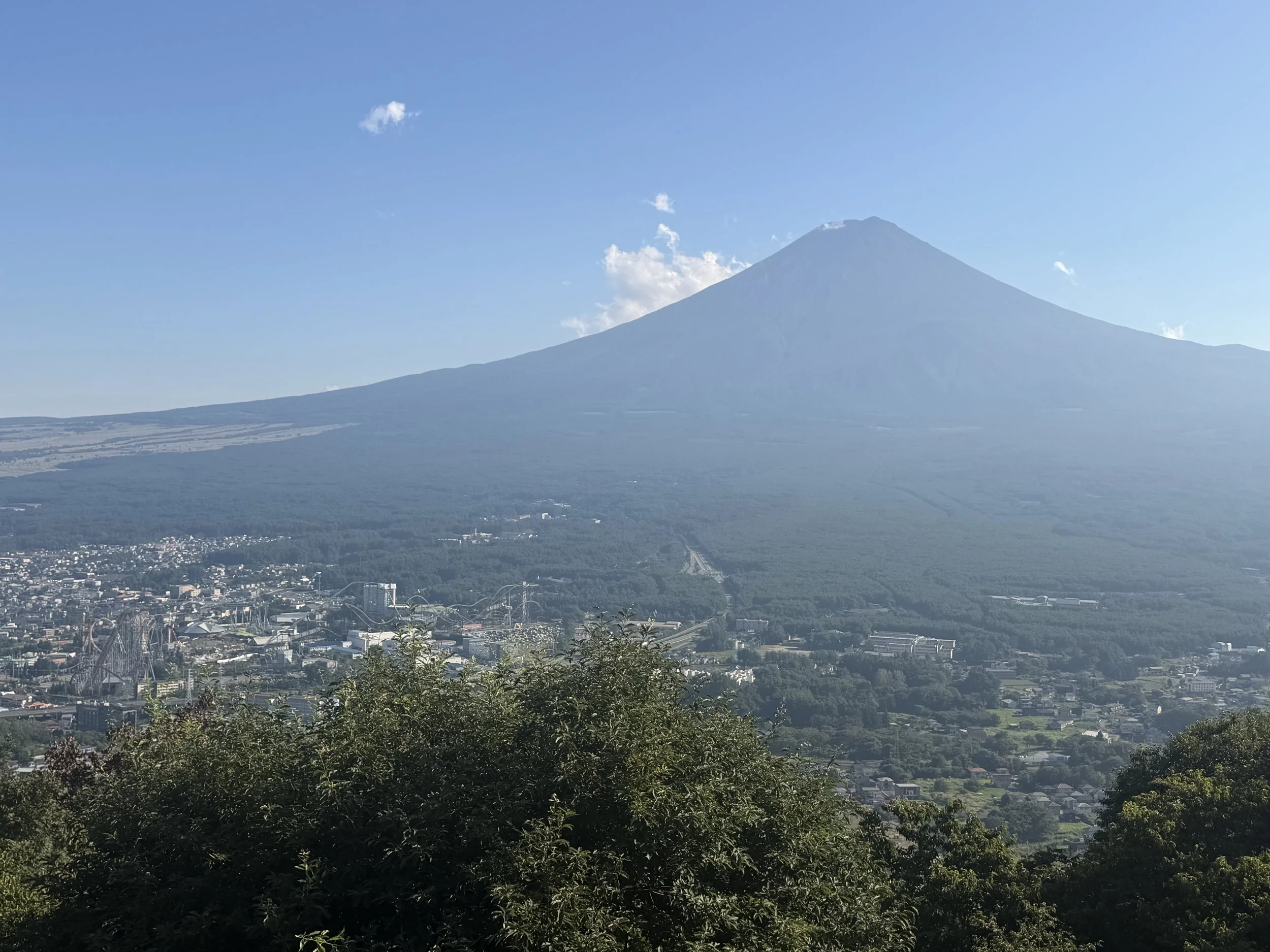 IMG_7926.jpeg