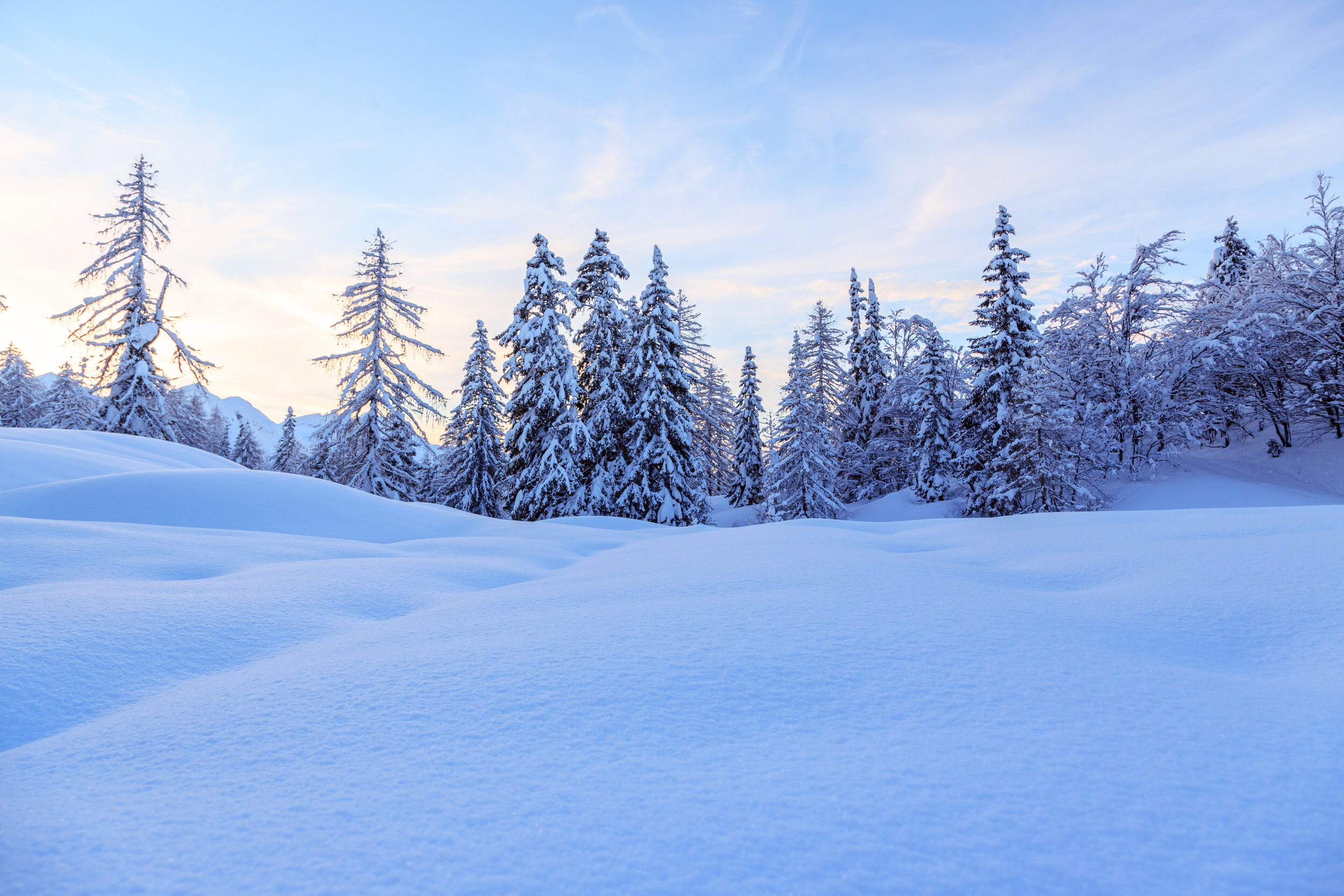 Pokljuka - Slovénie
