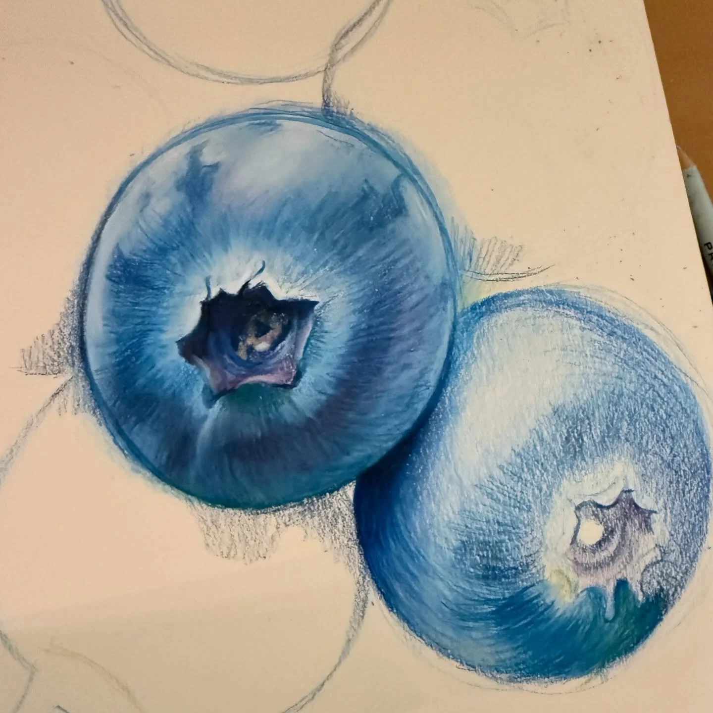 It&rsquo;s almost blueberry season! All colored pencils work in progress