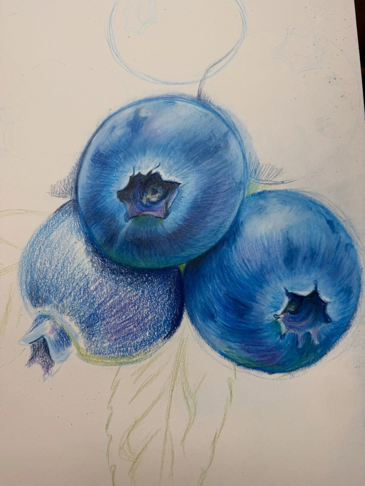 About 5 hours of progress into my blueberries! Plus a shot of the chaos of my materials for it
#coloredpencils #colorful #drawing #wip