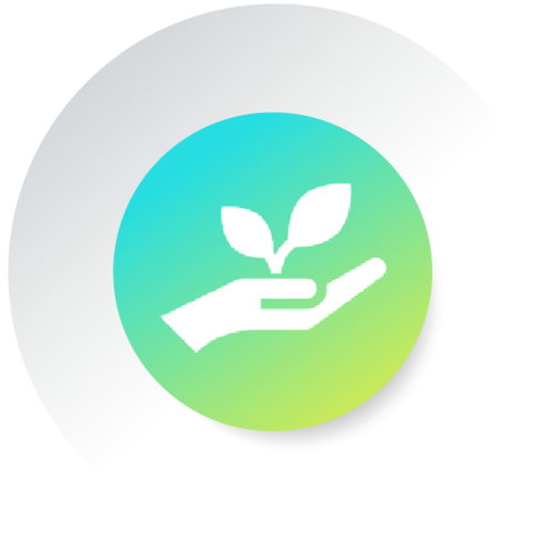 sol-intro to startups_-01.png