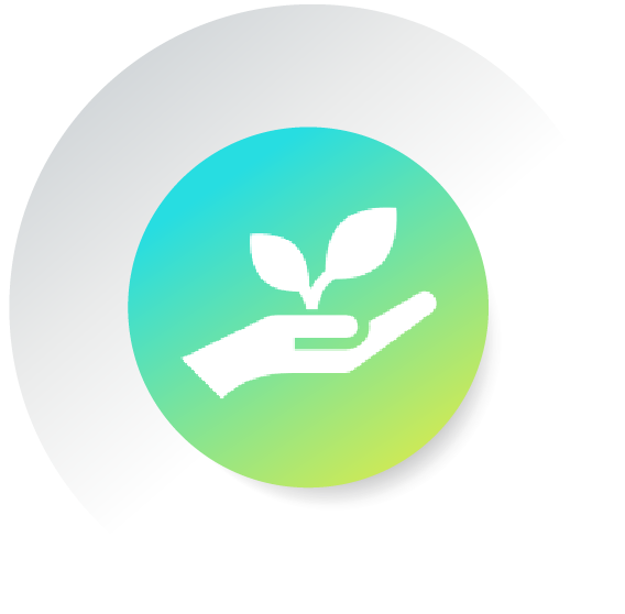 sol-intro to startups_-01.png