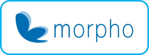 morpho.png