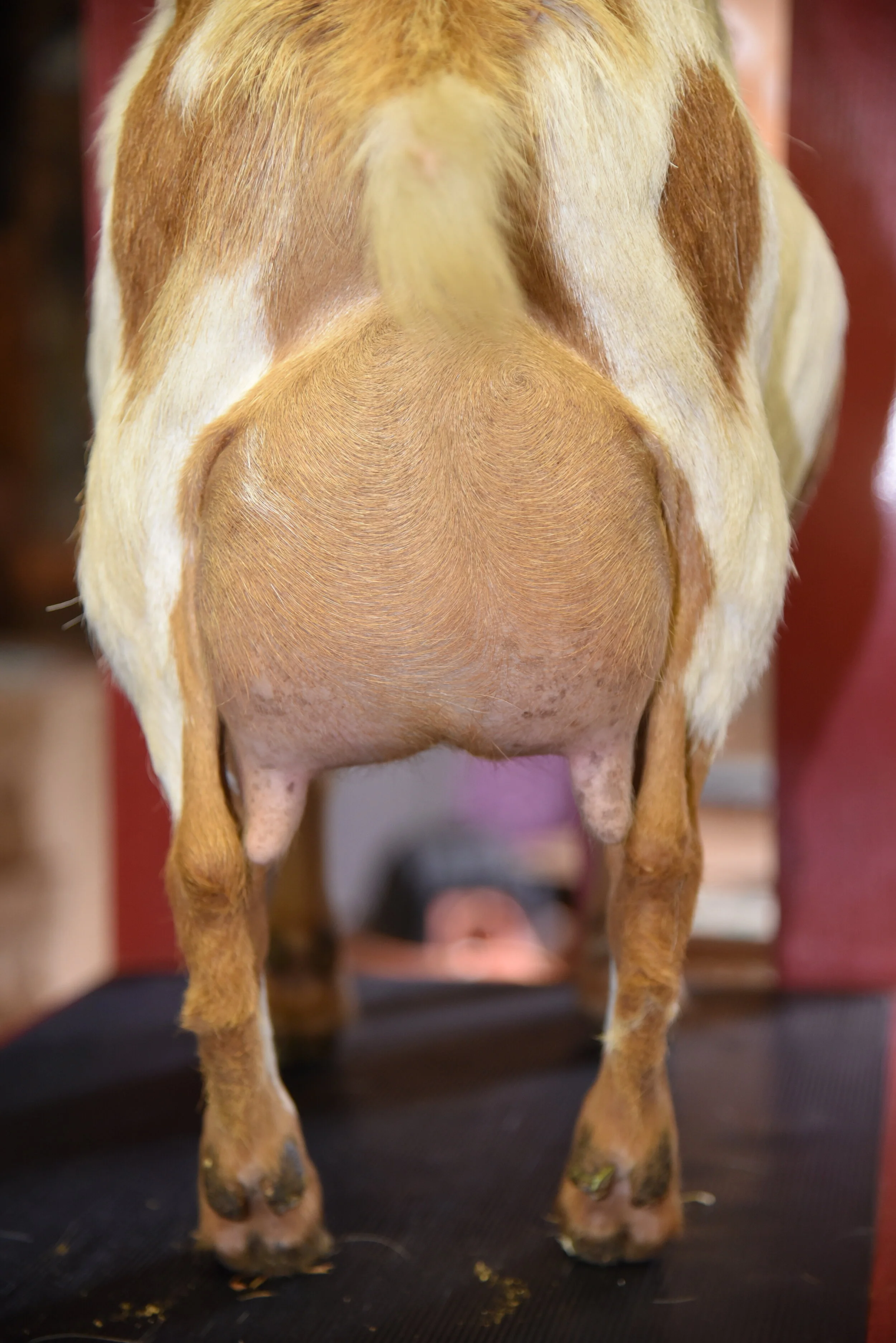 DSC_3100.JPG