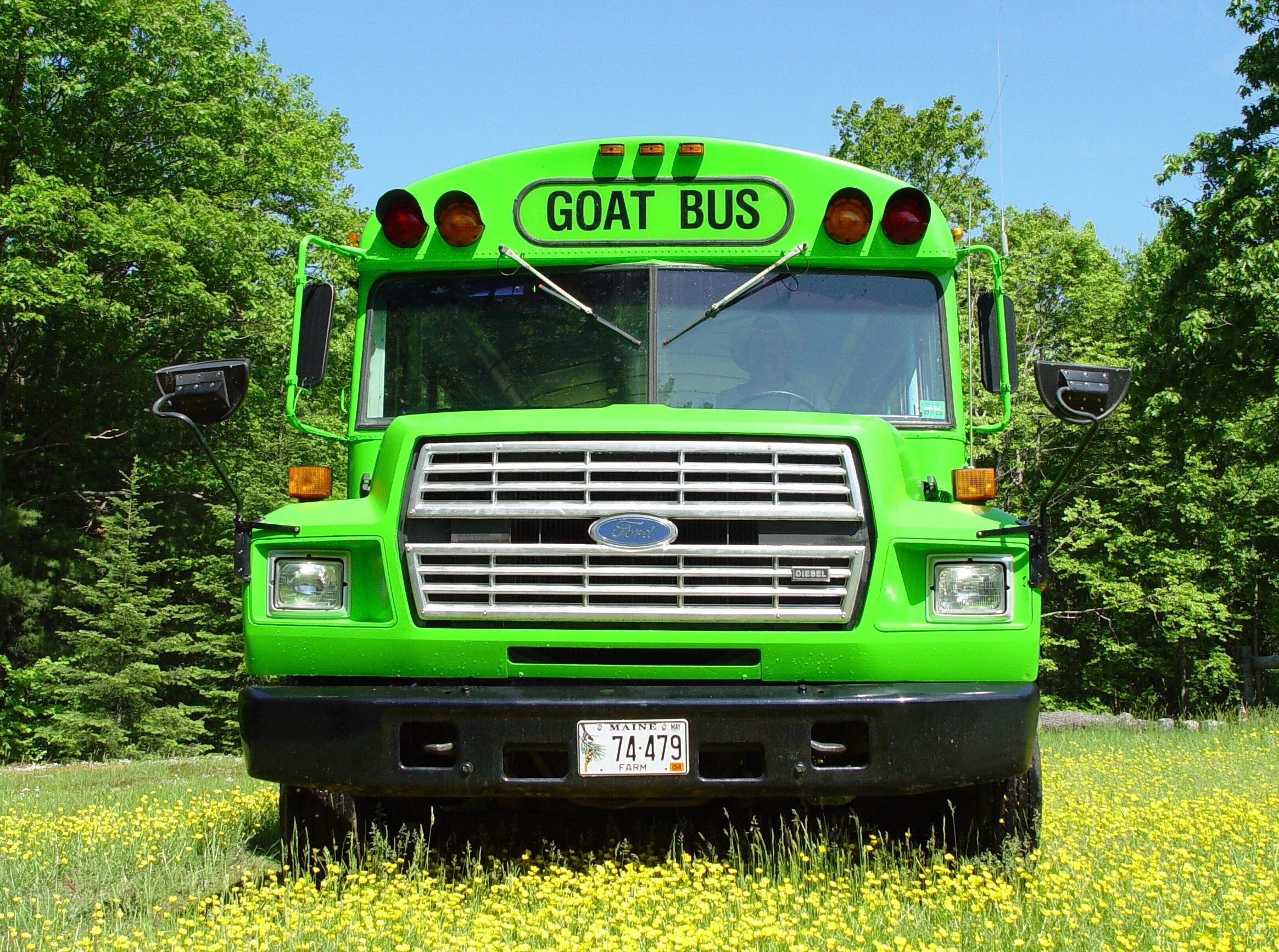 Goat Bus Health & Management โ Old Mountain Farm