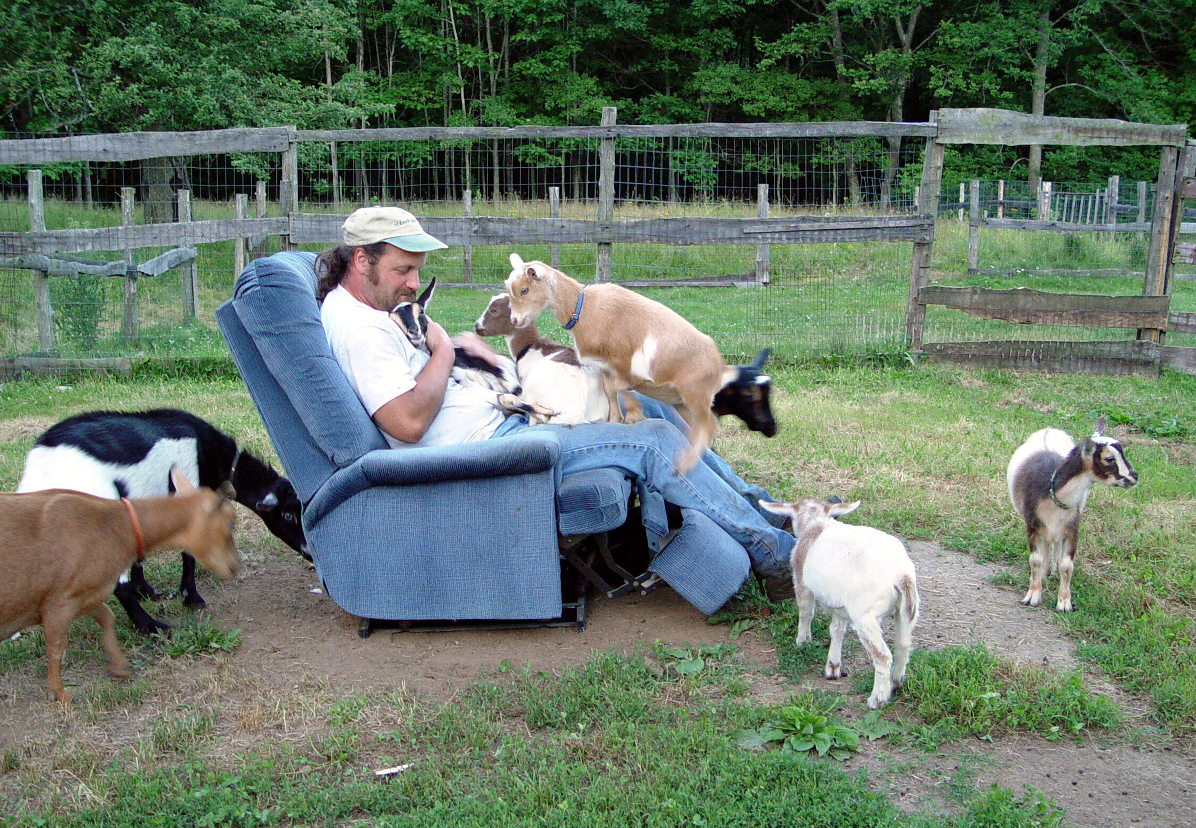 Wyl and goats in the recliner (7-16-03) 013 copy.jpg