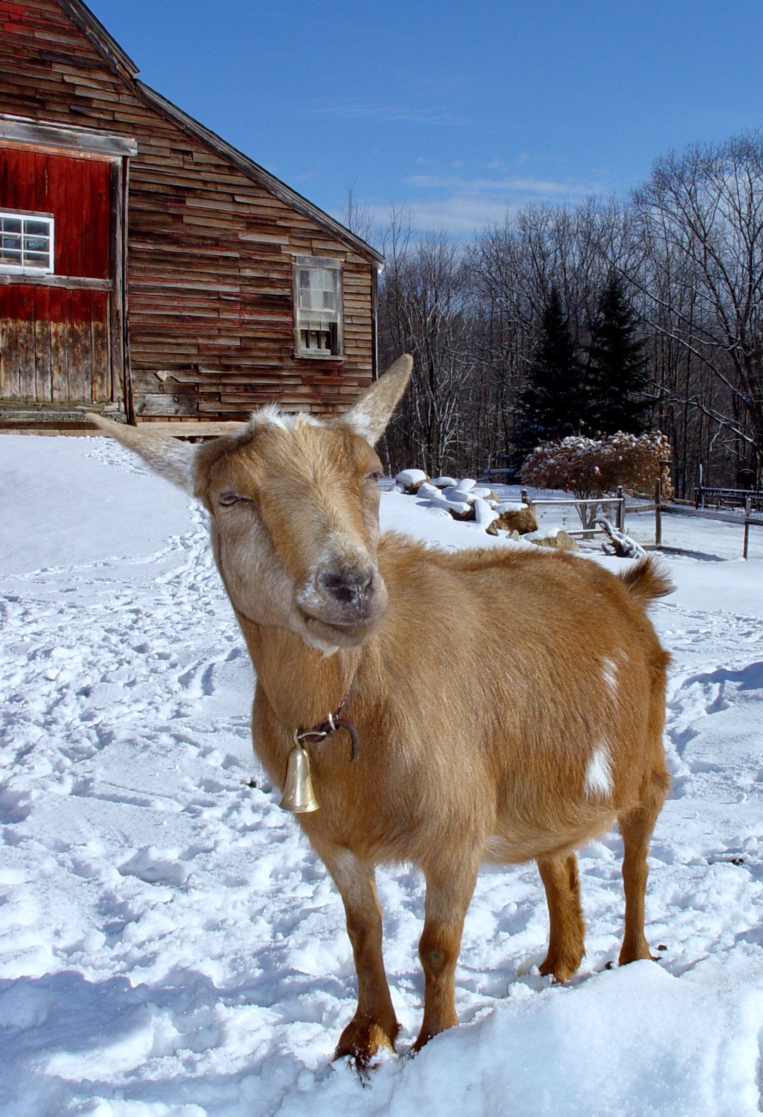 Michi - December 2005